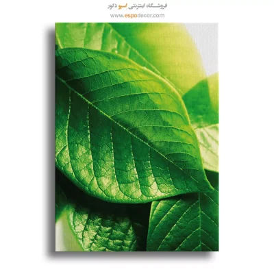 تابلو طبیعت