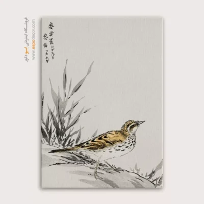 تابلو نقاشی های ناماتا جاکو - اسپو دکور