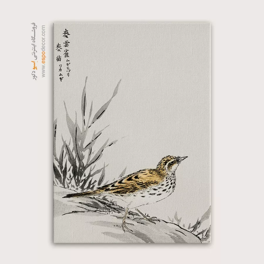 تابلو نقاشی های ناماتا جاکو - اسپو دکور