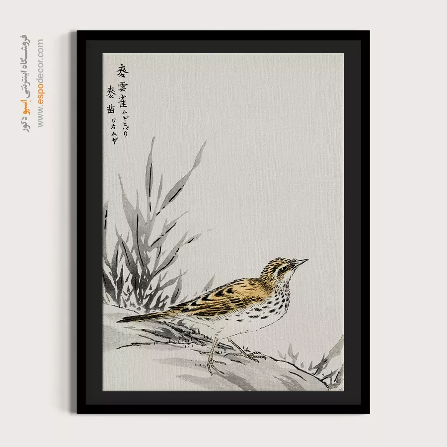 تابلو نقاشی های ناماتا جاکو - اسپو دکور