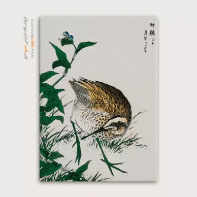 تابلو نقاشی های ناماتا جاکو - اسپو دکور