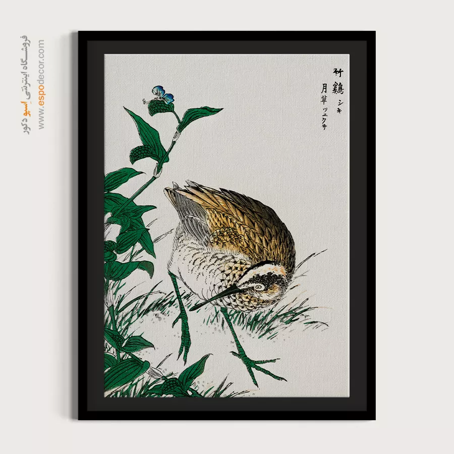 تابلو نقاشی های ناماتا جاکو - اسپو دکور