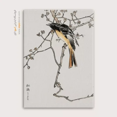 تابلو نقاشی های ناماتا جاکو - اسپو دکور