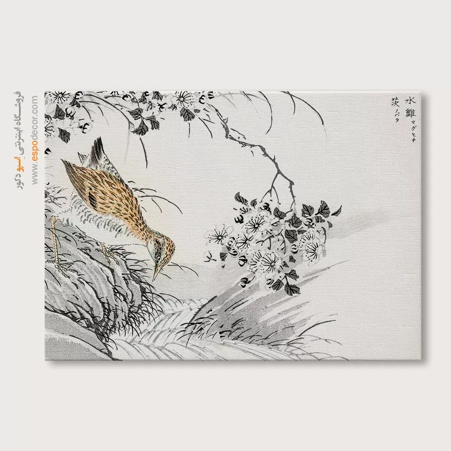 تابلو نقاشی های ناماتا جاکو - اسپو دکور