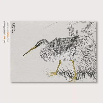 تابلو نقاشی های ناماتا جاکو - اسپو دکور