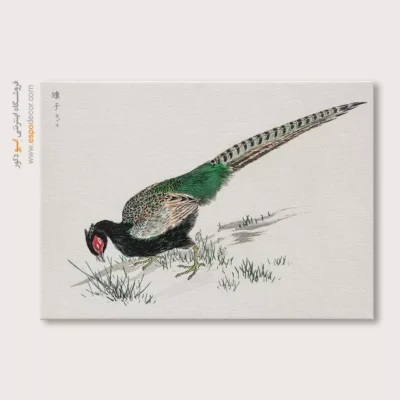 تابلو نقاشی های ناماتا جاکو - اسپو دکور