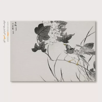 تابلو نقاشی های ناماتا جاکو - اسپو دکور