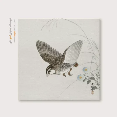 تابلو نقاشی های اوهارا کوسون - اسپو دکور