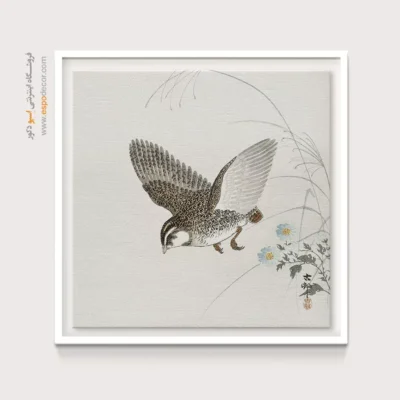 تابلو نقاشی های اوهارا کوسون - اسپو دکور