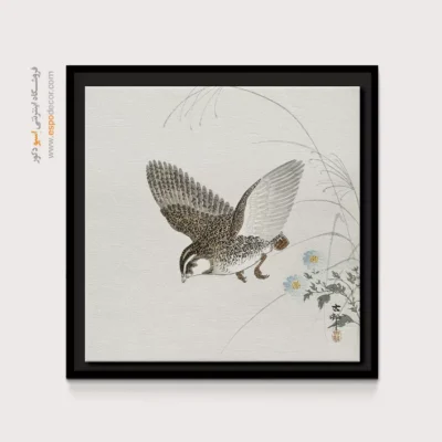 تابلو نقاشی های اوهارا کوسون - اسپو دکور