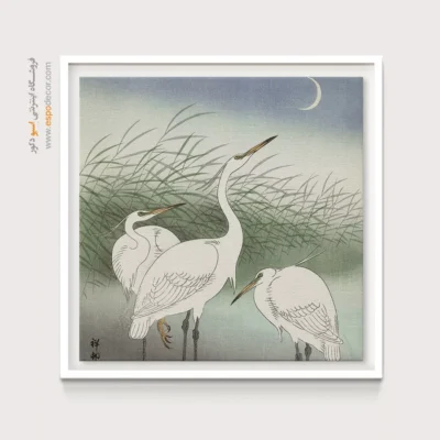 تابلو نقاشی های اوهارا کوسون - اسپو دکور