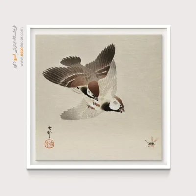 تابلو نقاشی های اوهارا کوسون - اسپو دکور