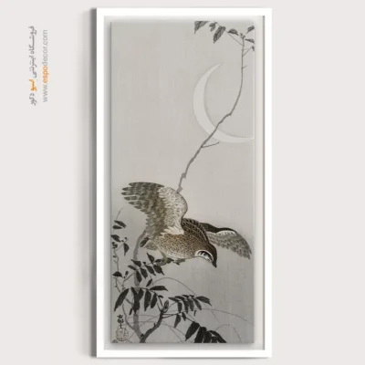 تابلو نقاشی های اوهارا کوسون - اسپو دکور