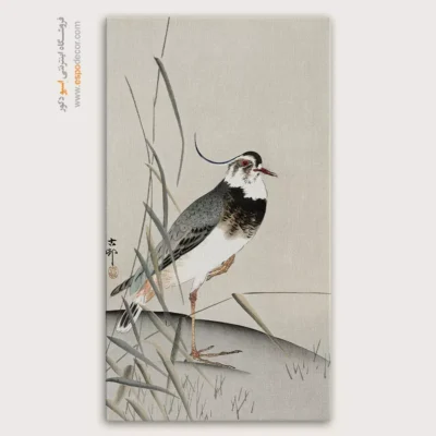 تابلو نقاشی های اوهارا کوسون - اسپو دکور