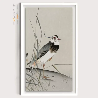 تابلو نقاشی های اوهارا کوسون - اسپو دکور