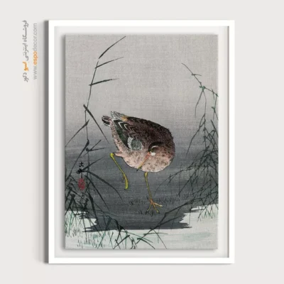 تابلو نقاشی های اوهارا کوسون - اسپو دکور