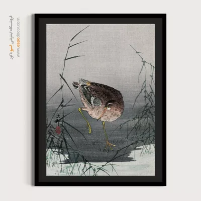 تابلو نقاشی های اوهارا کوسون - اسپو دکور