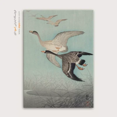 تابلو نقاشی های اوهارا کوسون - اسپو دکور