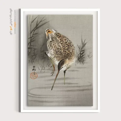 تابلو نقاشی های اوهارا کوسون - اسپو دکور