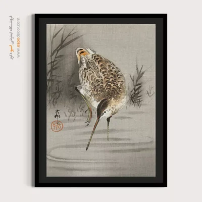 تابلو نقاشی های اوهارا کوسون - اسپو دکور