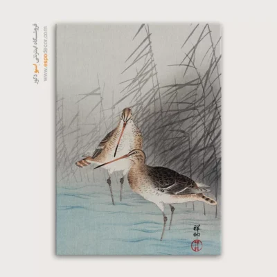 تابلو نقاشی های اوهارا کوسون - اسپو دکور