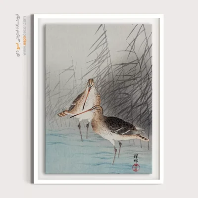 تابلو نقاشی های اوهارا کوسون - اسپو دکور