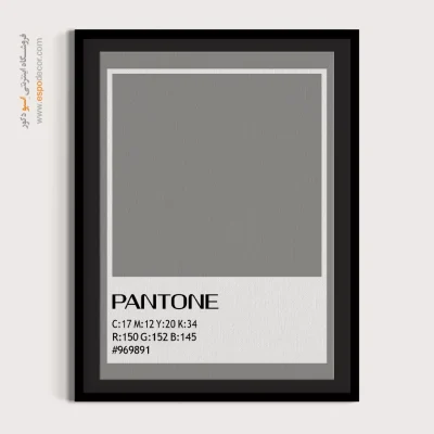 تابلو سایز بزرگ - ‏#969891  – تابلو رنگ پنتون - اسپو دکور