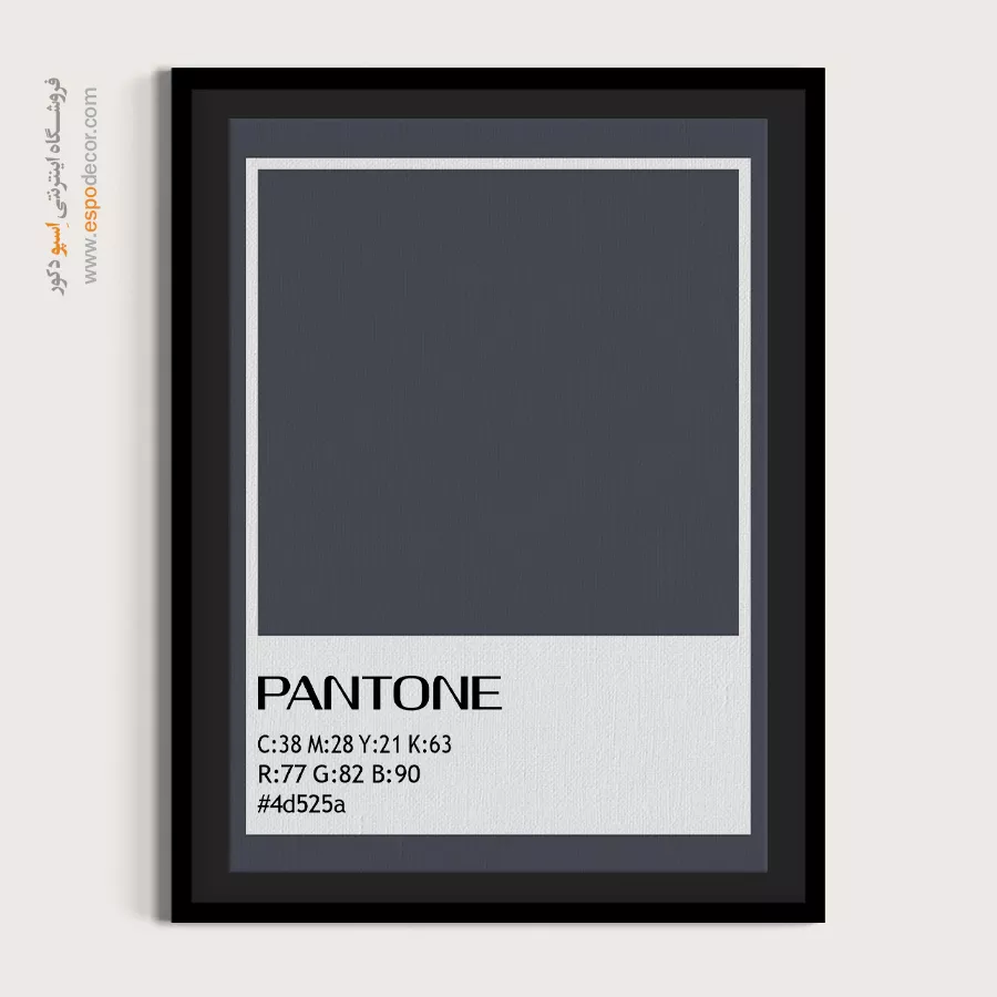 خرید تابلو اتاق کودک با رنگ شاد - #4d525a – تابلو رنگ پنتون - اسپو دکور