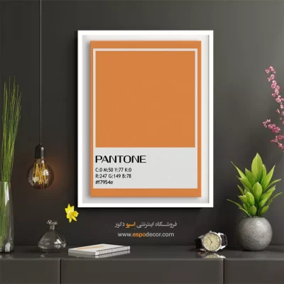 تابلو فضاهای کوچک - ‏#f7954e  – تابلو رنگ پنتون - اسپو دکور