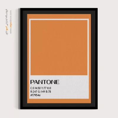 تابلو فضاهای کوچک - ‏#f7954e  – تابلو رنگ پنتون - اسپو دکور