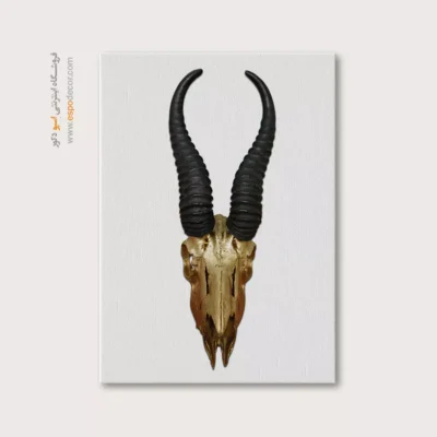 تابلو اسکلت - اسپو دکور