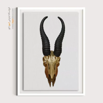 تابلو اسکلت - اسپو دکور