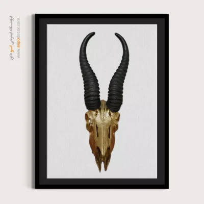 تابلو اسکلت - اسپو دکور