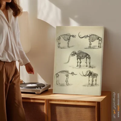 تابلو اسکلت - اسپو دکور