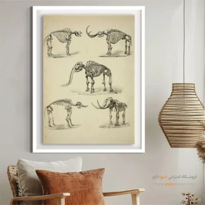 تابلو اسکلت - اسپو دکور