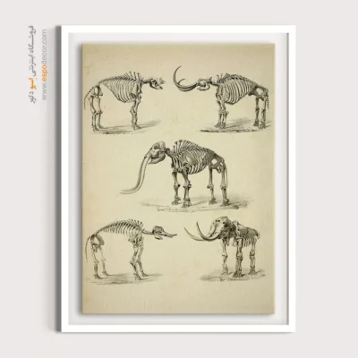 تابلو اسکلت - اسپو دکور