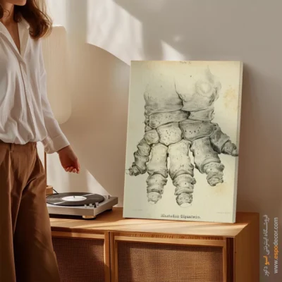 تابلو اسکلت - اسپو دکور