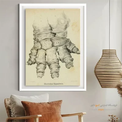 تابلو اسکلت - اسپو دکور