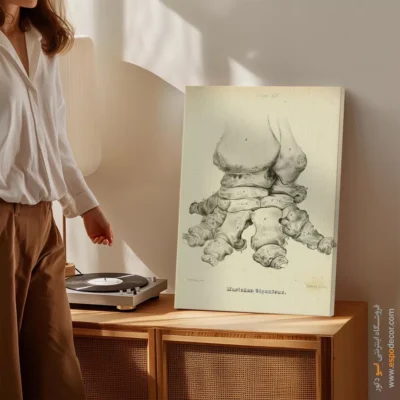 تابلو اسکلت - اسپو دکور