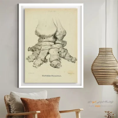 تابلو اسکلت - اسپو دکور