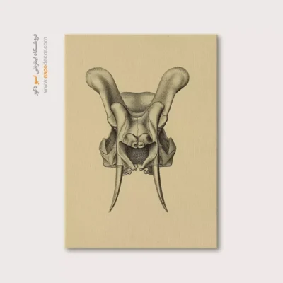 تابلو اسکلت - اسپو دکور