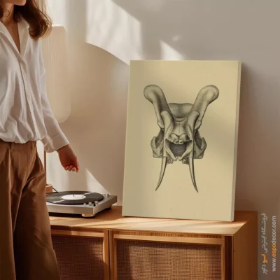 تابلو اسکلت - اسپو دکور