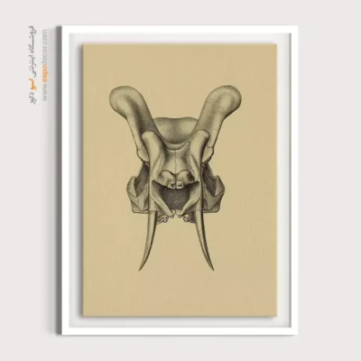 تابلو اسکلت - اسپو دکور