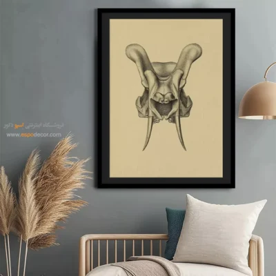 تابلو اسکلت - اسپو دکور