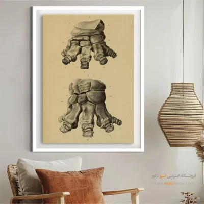 تابلو اسکلت - اسپو دکور