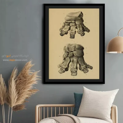 تابلو اسکلت - اسپو دکور