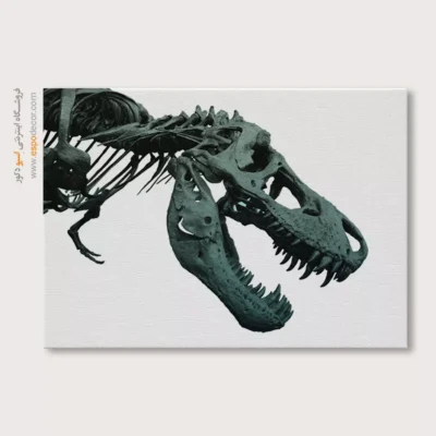 تابلو اسکلت - اسپو دکور