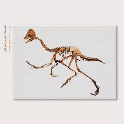 تابلو اسکلت - اسپو دکور