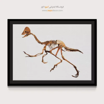 تابلو اسکلت - اسپو دکور