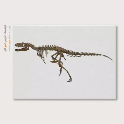 تابلو اسکلت - اسپو دکور